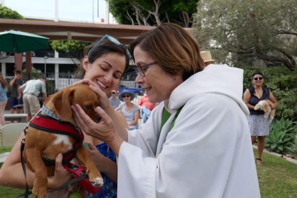 Blessing of the Animals! 10:30am Sun Oct 6