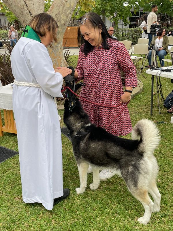 Blessing of the Animals! 10:30am - Sun. Oct. 6, 2024