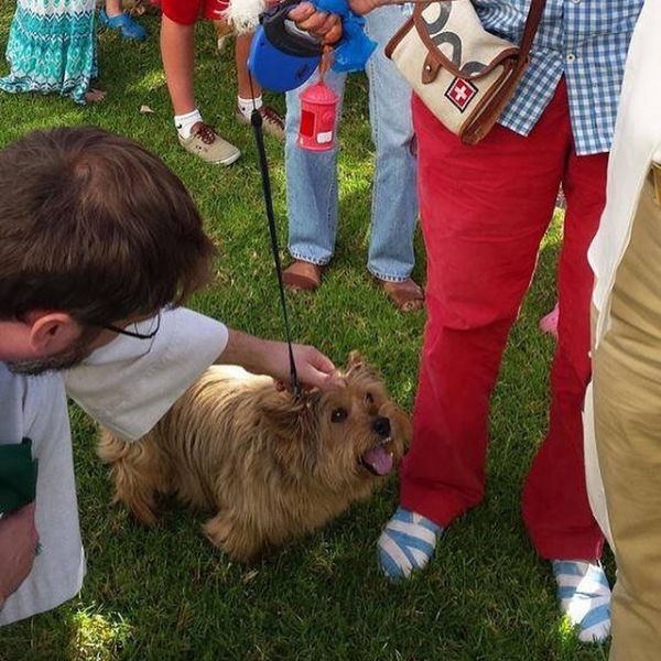 Blessing of the Animals