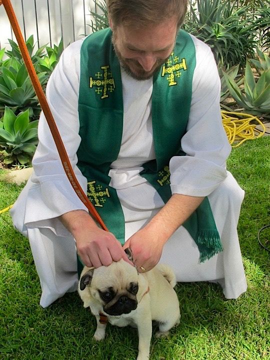 Blessing of the Animals - 10:30am Sun Oct 3 
