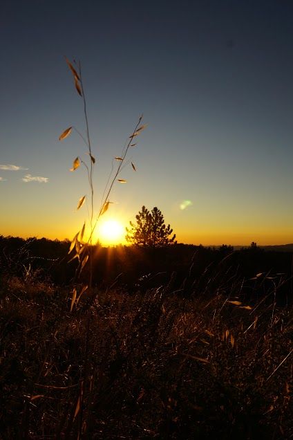 Family Harvest Retreat, Oct 13-15
